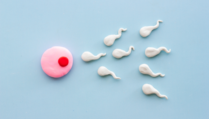 Fertility Preservation Services