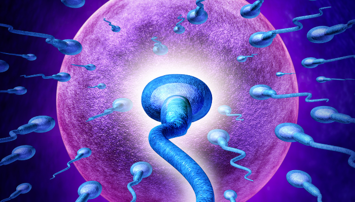 Fertility Preservation Service