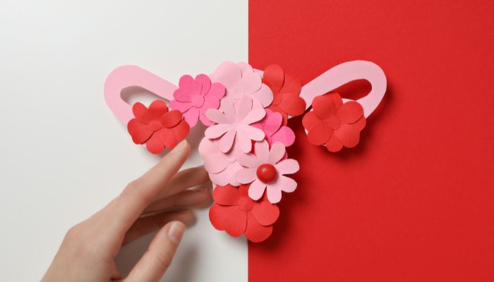 Assisted Reproductive Techniques (ART) in PCMC